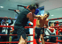 Zwei Boxer, einer mit blauem und einer mit rotem Handschuh, trainieren in einem Ring mit der Aufschrift „HORUS GYM“.