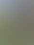 Eine Person hält zwei Lamas an der Leine vor einer Krippenstall-Kulisse mit Figuren.