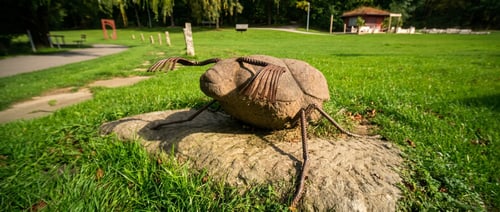 Käfer-Skulptur aus Stein und Metall im Kurpark von Bad Wünnenberg