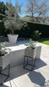 Moderne Terrasse mit grauen Pflanzkübeln auf Metallgestellen, einem Olivenbaum im weißen Topf und einer grünen Hecke.