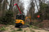 Gelber JCB Minibagger mit rotem Greifarm bei Waldarbeiten neben einem Waldarbeiter in orangefarbener Warnjacke.