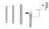 Sigenergy Produkte im Großhandel für Installateure – direkt verfügbar und steuerfrei einkaufen