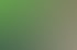 Kleiner, hellbrauner Hund steht auf einer schwarzen Balancewippe, grüne Wand im Hintergrund.