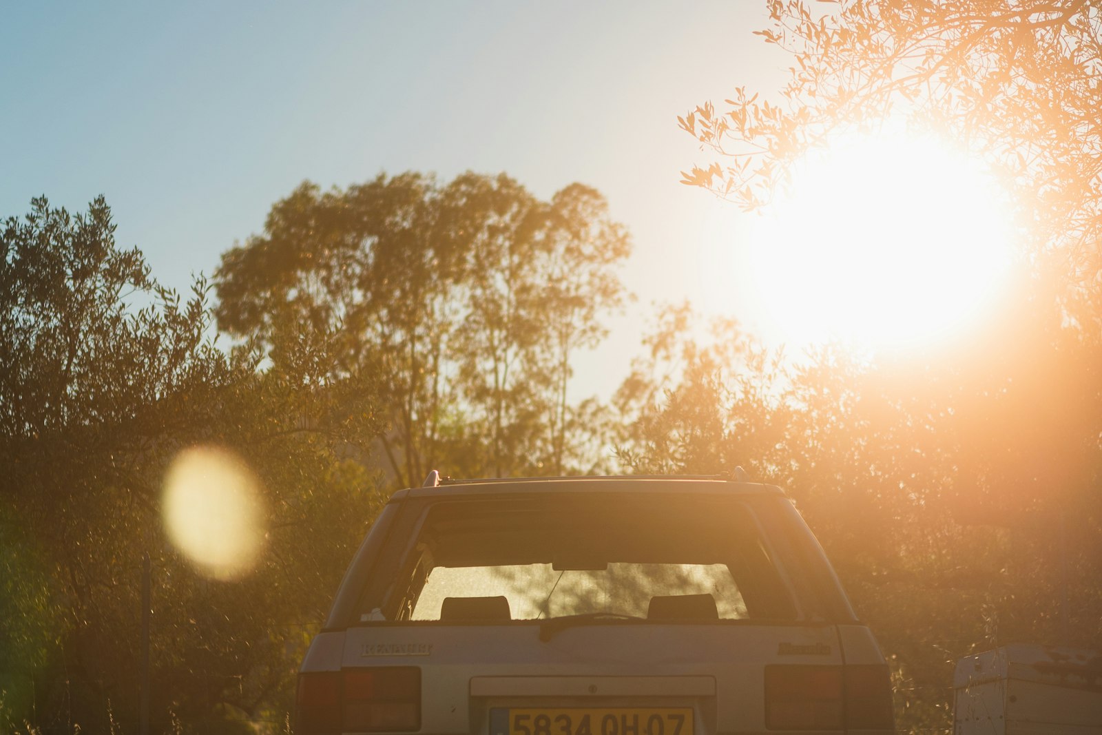 A Pet or Child Locked in a Hot Car in DeLand: What Florida Law Allows