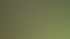 Ein Mann mit Schutzhelm und Gehörschutz blickt auf einen orangefarbenen Raupenhäcksler im Gras.