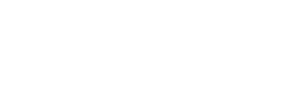 Logo der Firma Reisewagenworks