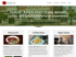 Cafe Dodici website, Washington, Iowa
