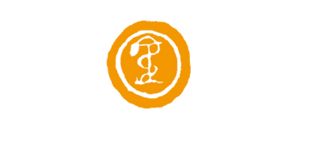 Logo der Gemeinschaftspraxis Dr. Drechsel & Dr. Vogel mit einem stilisierten Vogel und dem Buchstaben P in Orange.