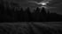 Monochrome Nachtaufnahme eines Waldrands mit Wiese und Feldweg unter bedecktem Mondlicht