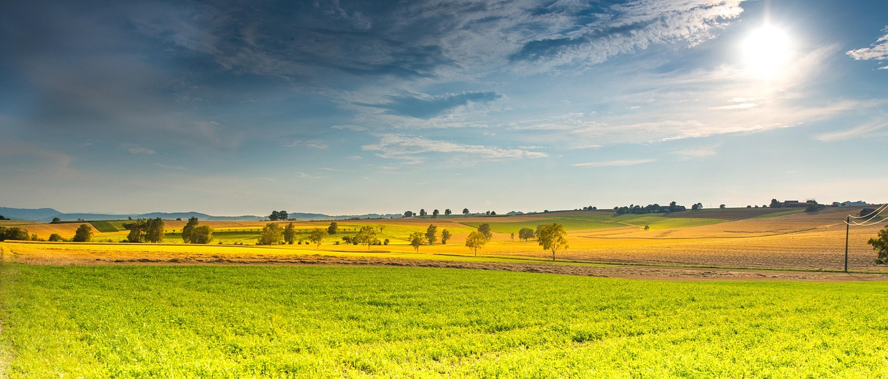 Weg in eine helle, offene Landschaft