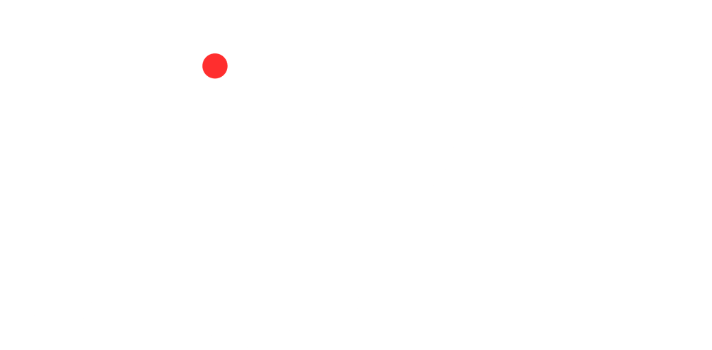 Logo mit "ROY" aus einer Kamera und einer Blende, darunter "RICHARD FERDIN" in Weiß auf Grün.