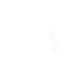 Logo von Hussl Pflanzen & Wasser & Stein mit fettem Schriftzug und abstrakten organischen Formen in Schwarz-Weiß.