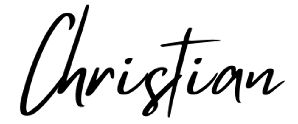 Christian Salfeld, Coach