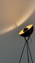 Schwarze Stehlampe mit goldener Innenseite beleuchtet eine helle Wand mit einem warmen Lichtstrahl.