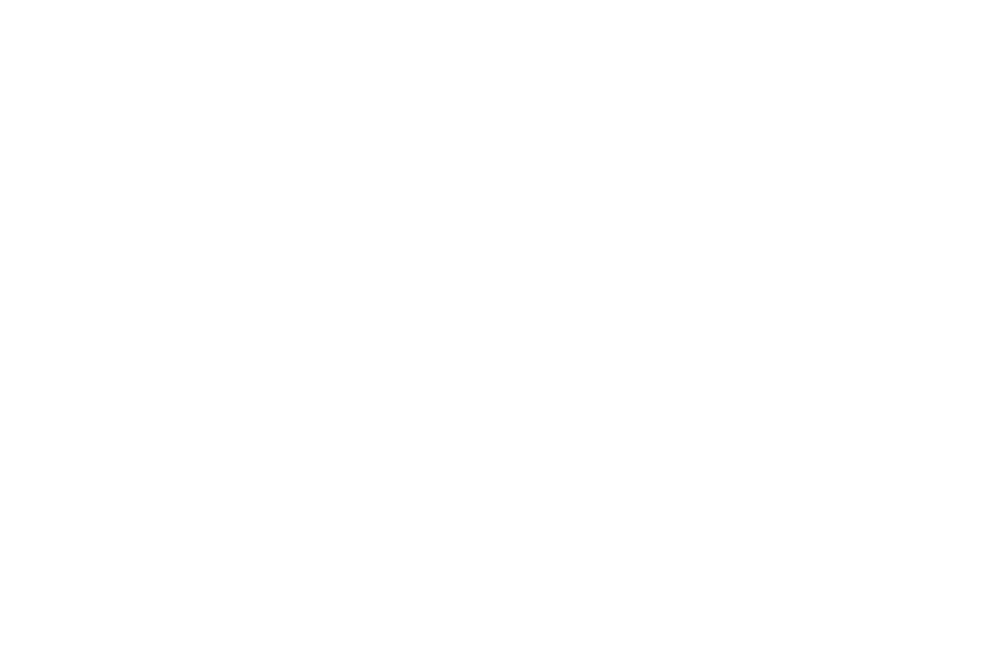 Logo "Foto Kluss" in Schreibschrift, darunter "DAS AUGE MACHT DAS BILD" auf grünem Hintergrund.