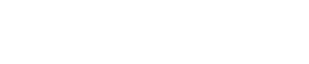 Newland NPT Logo mit weißem Text und einem stilisierten, gestreiften Symbol links auf grünem Hintergrund.