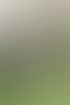 Braut mit Trauzeugen vor mediterraner Kulisse – Gruppenporträt bei stilvoller Gartenhochzeit.
