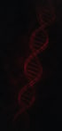 Eine rot leuchtende DNA-Doppelhelix auf schwarzem Hintergrund.