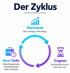 Zyklus: Wachstum, Engpass, Neue Stelle