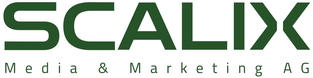 scalix Media & Marketing AG — Webdesign für Handwerker Schweiz