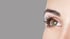 Nahaufnahme des rechten Auges einer Frau mit langen Wimpern, grüner Iris und brauner Augenbraue auf grauem Hintergrund.