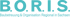 Blauer Text "B.O.R.I.S. Baubetreuung & Organisation Regional in Sachsen" auf dunkelgrünem Hintergrund.