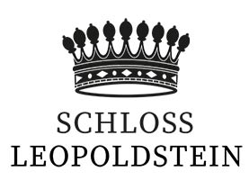 Logo 5