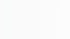 Kundenstimme über SPEEDSCALING