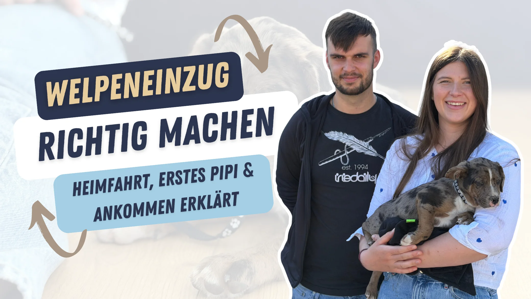 Bruce wird vom Züchter abgeholt und zieht ein