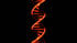 A glowing orange double helix DNA strand against a black background.