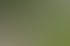 Ein lächelndes Brautpaar steht hinter einem mit Blumen geschmückten Hochzeitsauto vor grünen Bäumen.