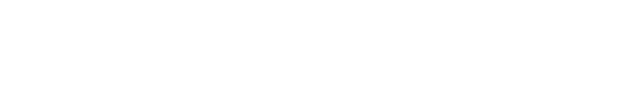 Momentum