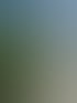 Heckenschnitt in Zürich und Umgebung | Botanica Greiner