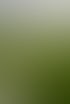 Grüner Rasen und eine helle Betonbegrenzung trennen einen Hang von einem Wald mit Herbstlaub unter bewölktem Himmel.