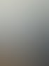 Bild zeigt eine fugenlose Oberfläche mit Kalkputz, vermutlich in einem Innenraum (allgemein, ohne spezifischen Raum wie Badezimmer).