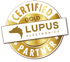 Goldenes Abzeichen mit "CERTIFIED GOLD PARTNER" und "LUPUS ELECTRONICS" mit Wolfskopf-Logo.