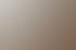 Leitfaden für sicherheitsorientierte Kunden