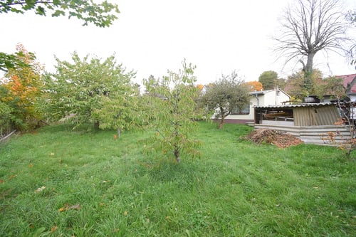 Gepflegter Garten mit Obstbäumen und grünem Gras, ein Haus mit Terrasse ist im Hintergrund sichtbar.
