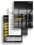 Drei LINC Personality Profiler Management Summary Berichte, der vorderste zeigt drei Personen vor einer Stadtkulisse.