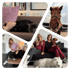 Eine Collage zeigt eine Frau, die Pferde und Hunde behandelt, mit einem zentralen Bild von ihr und vier Hunden.