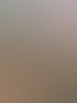 Fünf Frauen malen und basteln an einem langen Tisch, der mit einer karierten Decke bedeckt ist.