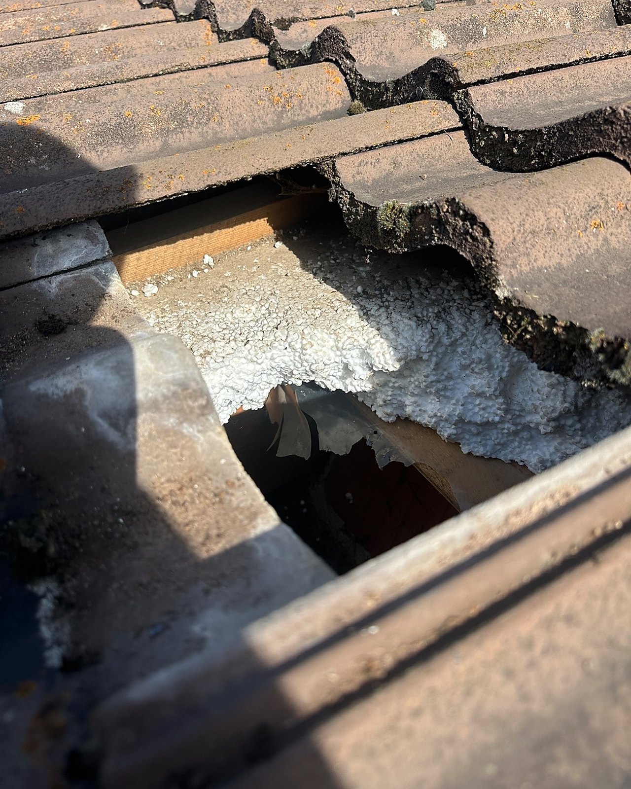 Detailansicht eines geöffneten Dachaufbaus mit sichtbarer Dämmung und Holzkonstruktion.