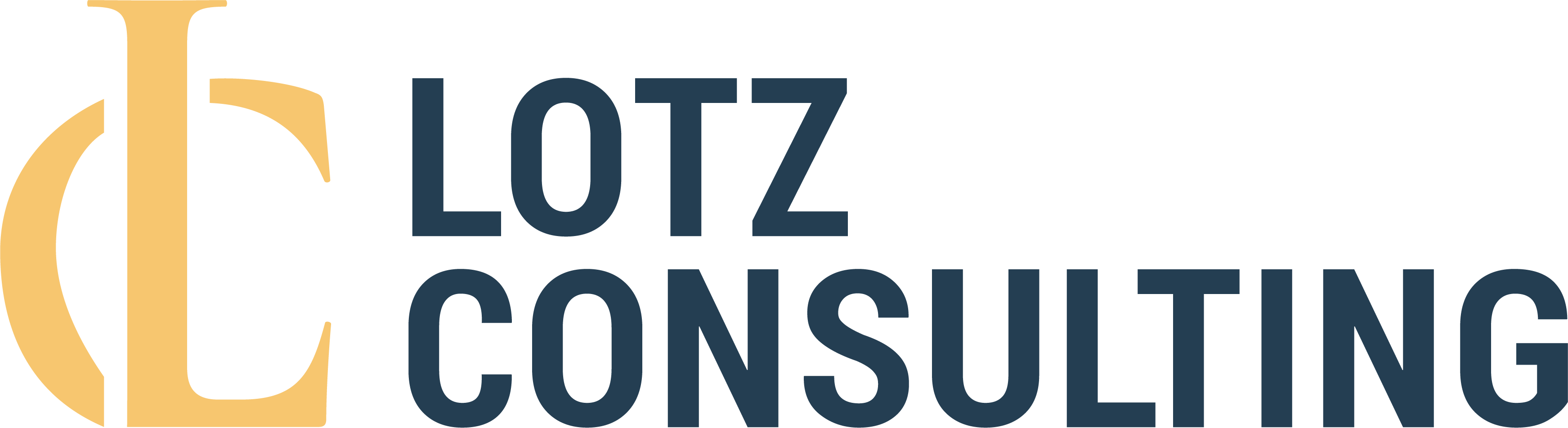 Lotz Consulting