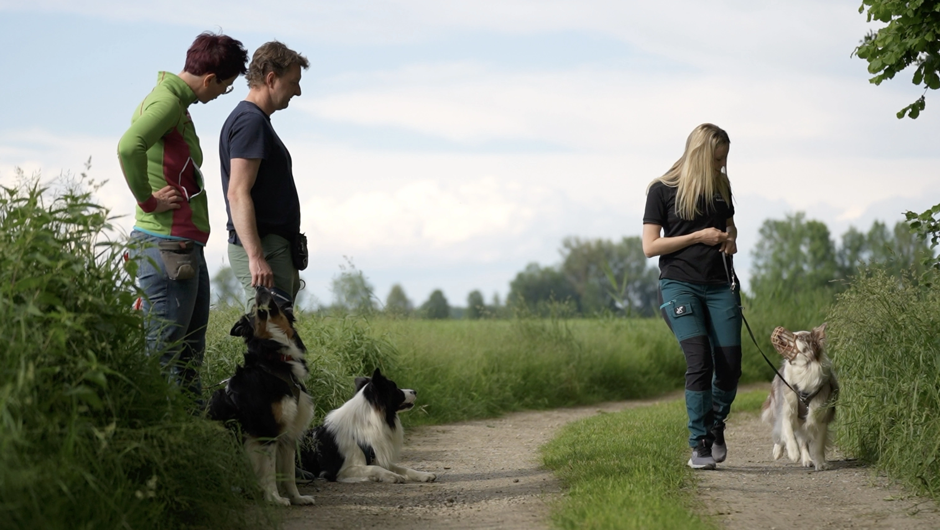Training mit Hunden auf dem Feldweg