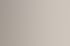 Eine Stechmücke sitzt auf einem schwarzen Fliegengitter, unscharfer Hintergrund.