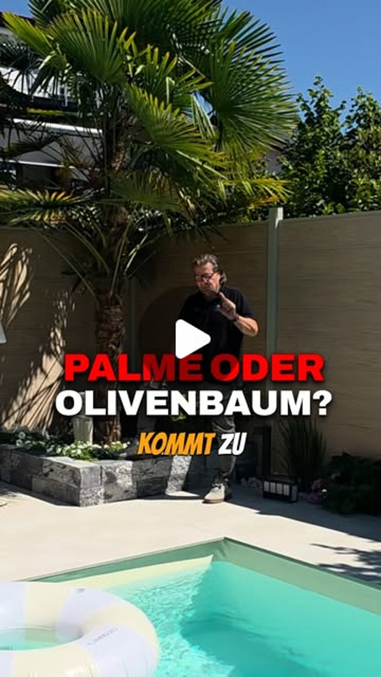Palme oder Olivenbaum am Pool?