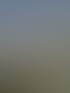Visualisierung PINUS