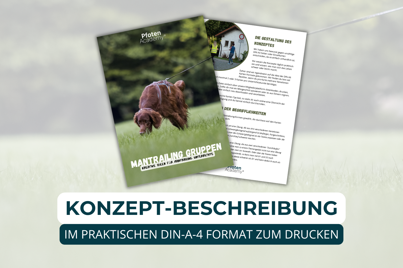 Übungskonzept Mantrailing – Bild 2