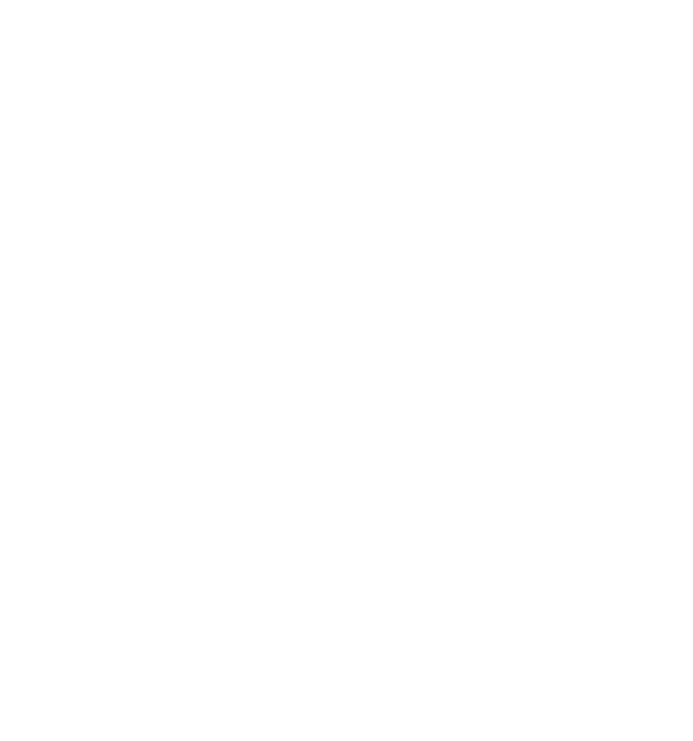Bishvili Innovation Group Inc. Icon logo white