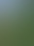 Forstservice Frankfurt (Oder) | Forstservice Winnige